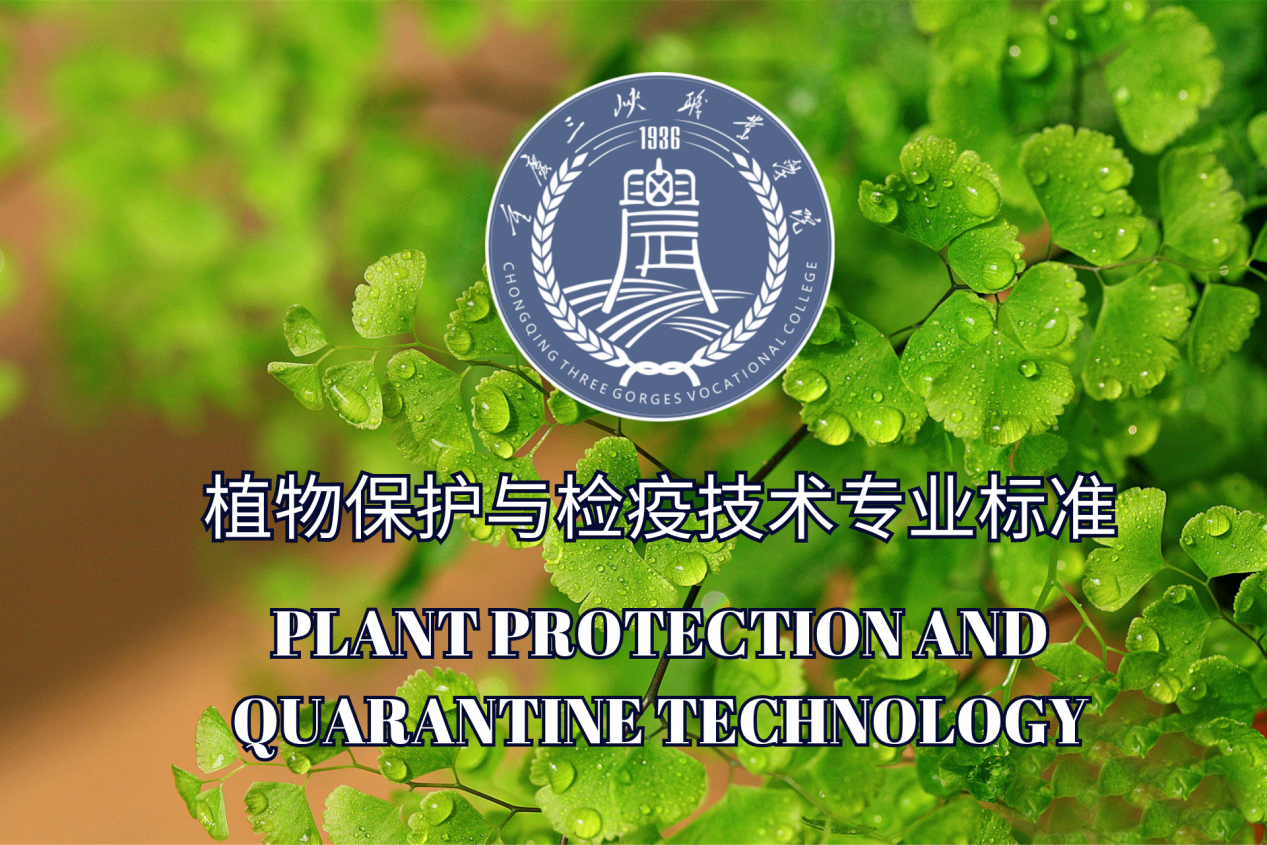 1778031630644816.png 图片2.png